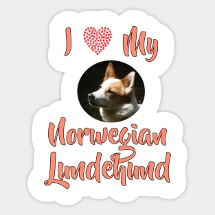 I Love My Norwegian Lundehund Sticker